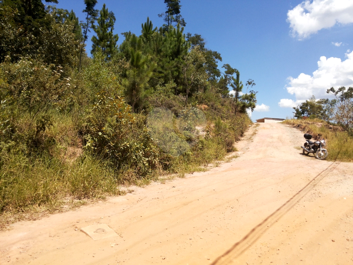 Venda Terreno Mairiporã Terra Preta (terra Preta) REO277090 8