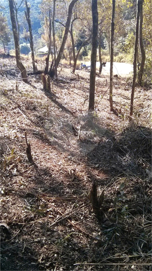 Venda Terreno Mairiporã Terra Preta (terra Preta) REO277090 12