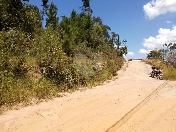 Venda Terreno Mairiporã Terra Preta (terra Preta) REO277090 7