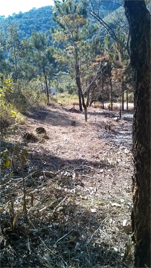 Venda Terreno Mairiporã Terra Preta (terra Preta) REO277090 4