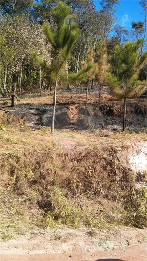 Venda Terreno Mairiporã Terra Preta (terra Preta) REO277090 5