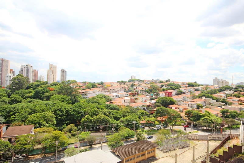 Foto REO278270