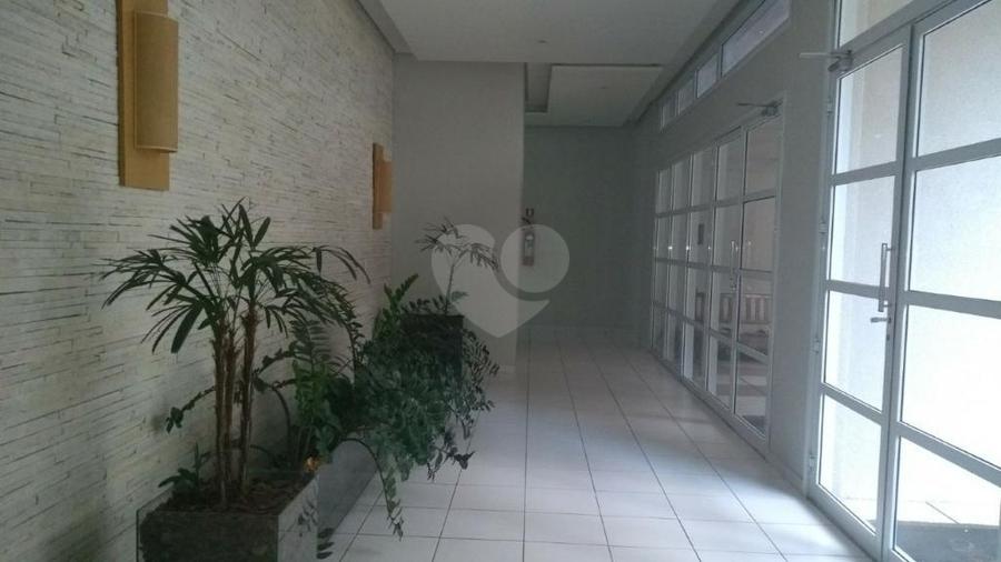 Foto REO278461