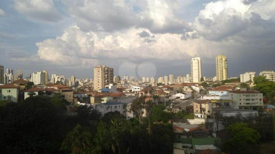 Foto REO278461