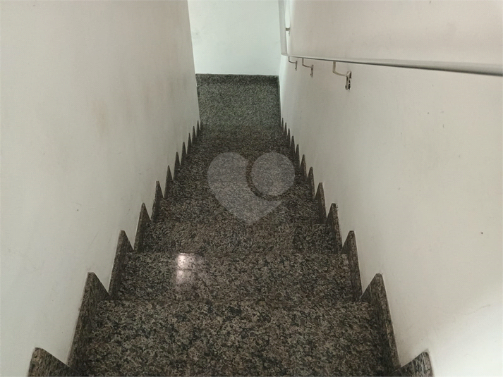 Foto REO279796
