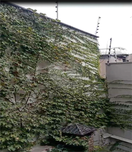 Foto REO280762