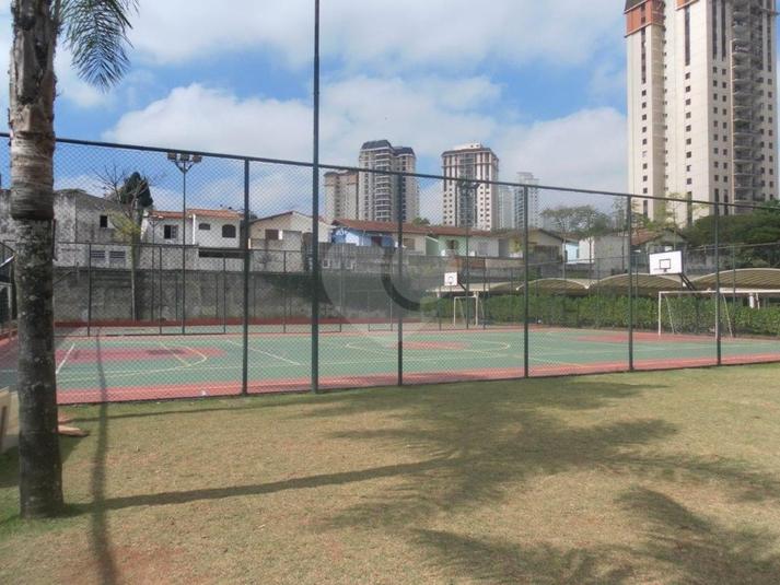 Foto REO280941