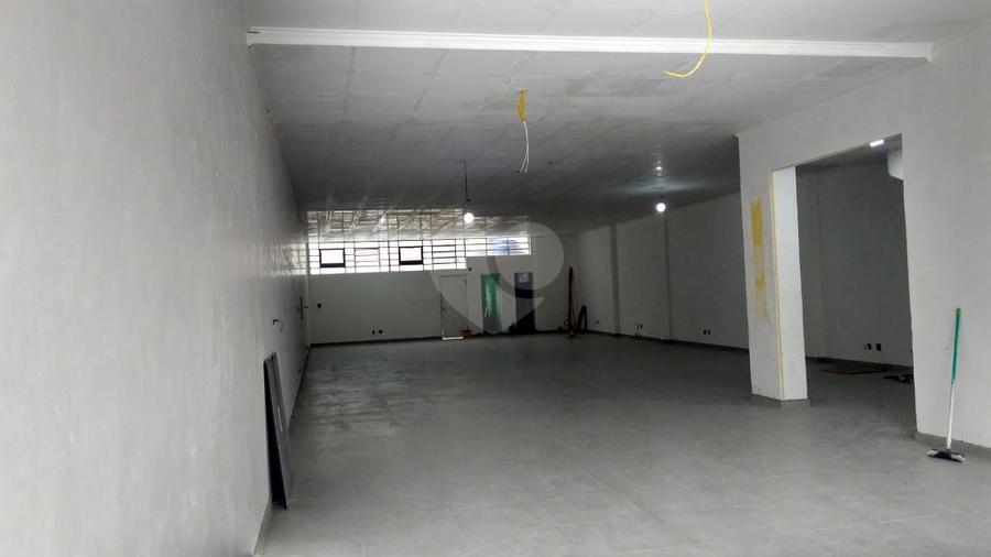 Foto REO281531