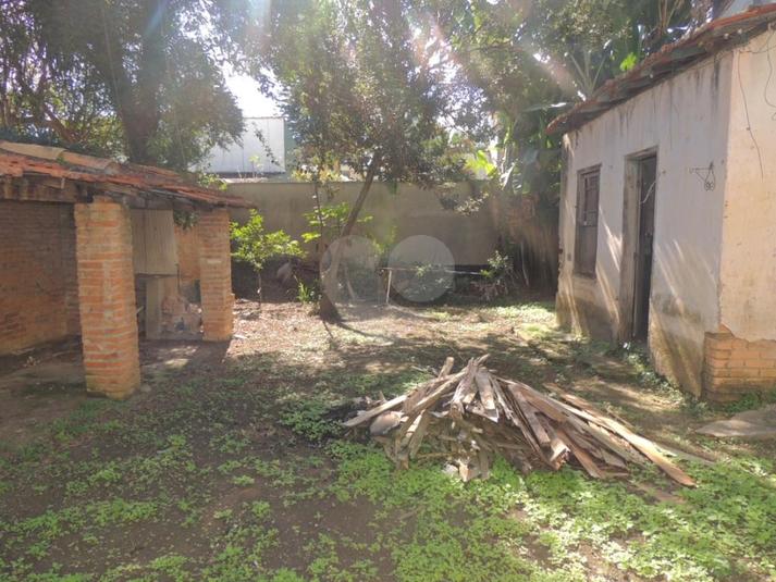 Foto REO281678