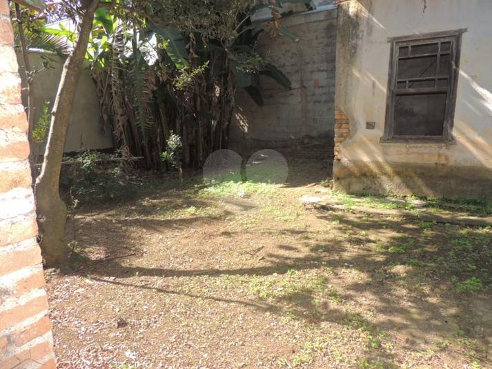 Foto REO281678