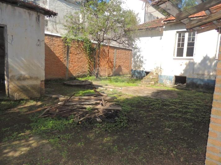 Foto REO281678