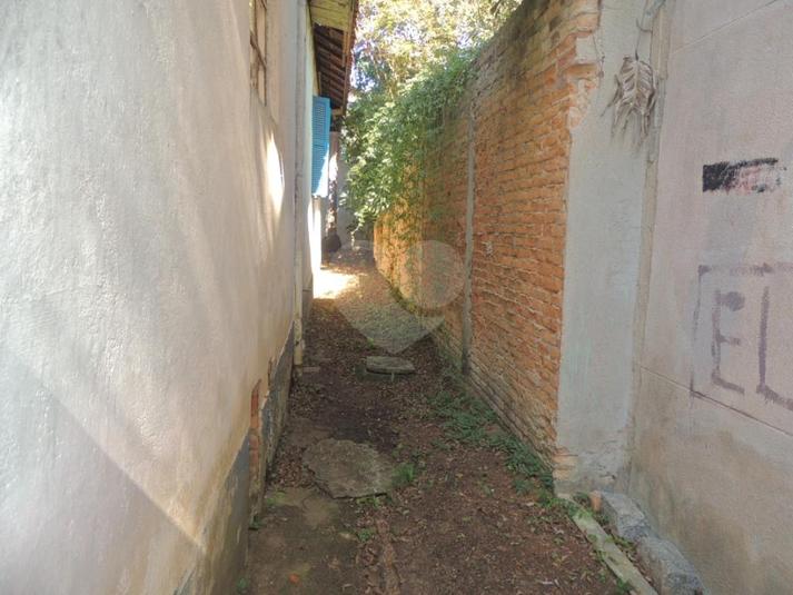 Foto REO281678