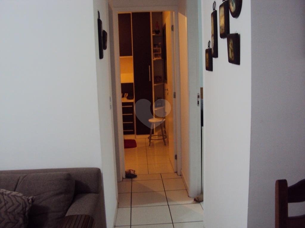 Aluguel Apartamento São Paulo Vila Isa REO285147 4