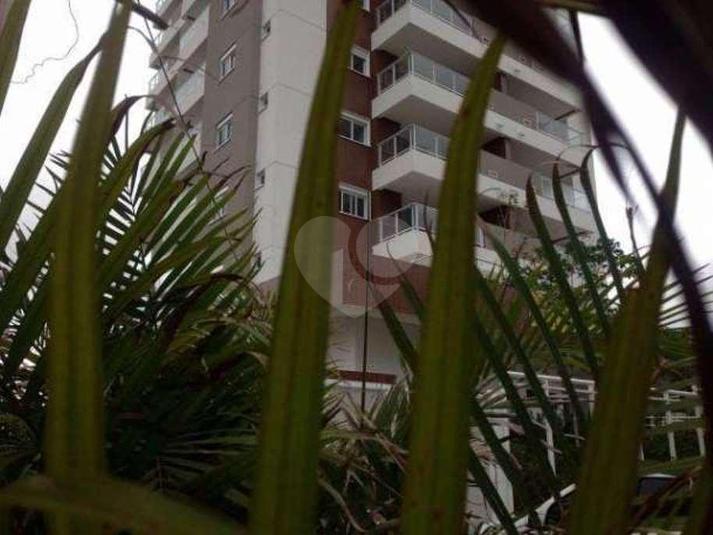 Foto REO287147