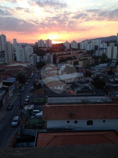 Foto REO287921
