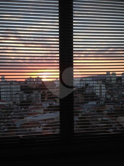 Foto REO287921