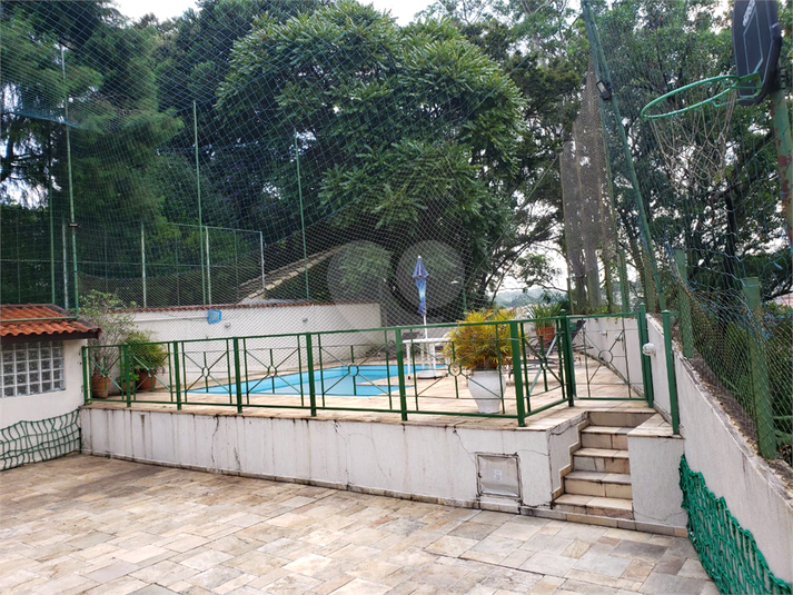 Foto REO288462