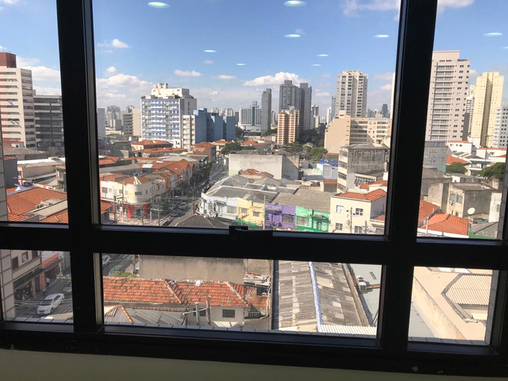 Foto REO288779