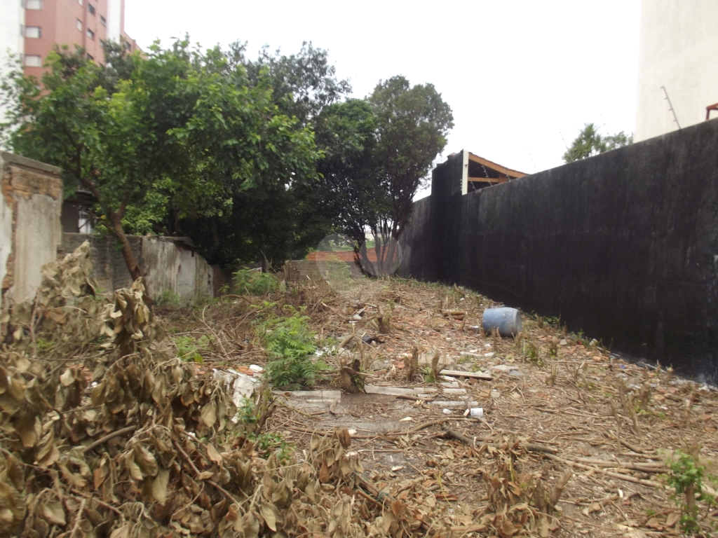 Venda Terreno São Paulo Vila Monte Alegre REO290097 9