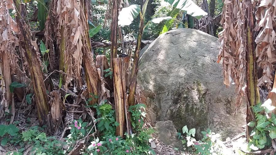 Venda Terreno São Paulo Tremembé REO290681 18