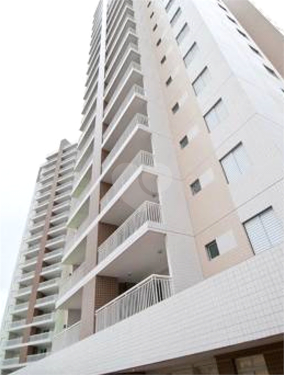 Venda Apartamento São Paulo Lauzane Paulista REO291504 3