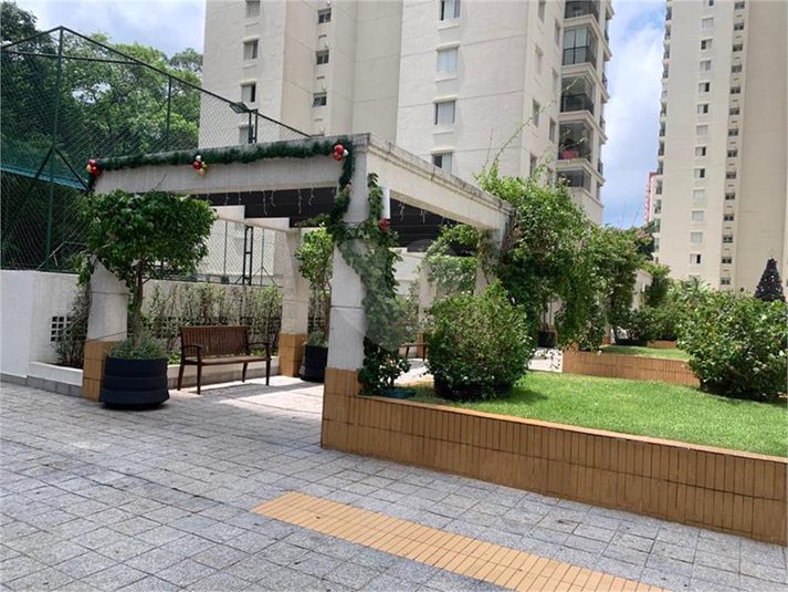 Aluguel Apartamento São Paulo Vila Amélia REO291628 49