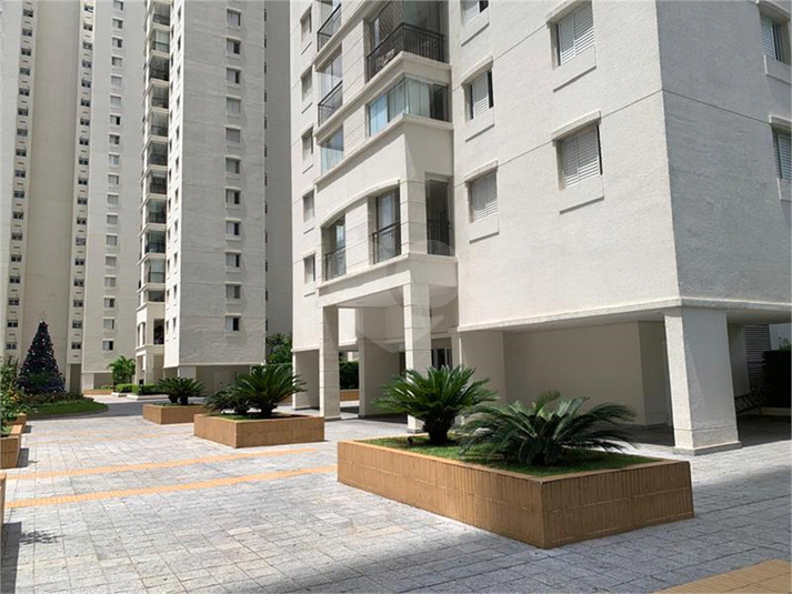 Aluguel Apartamento São Paulo Vila Amélia REO291628 47