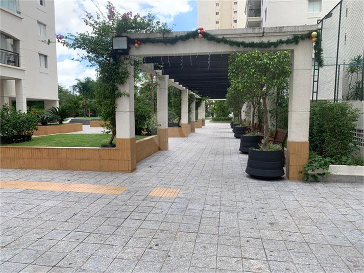 Aluguel Apartamento São Paulo Vila Amélia REO291628 48