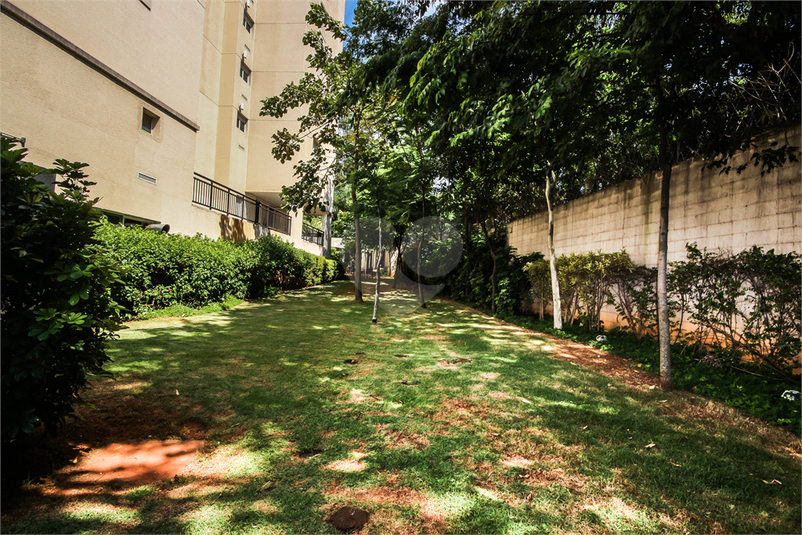 Aluguel Apartamento São Paulo Vila Amélia REO291628 44