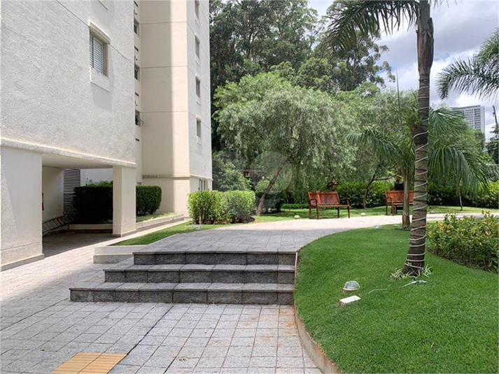 Aluguel Apartamento São Paulo Vila Amélia REO291628 50