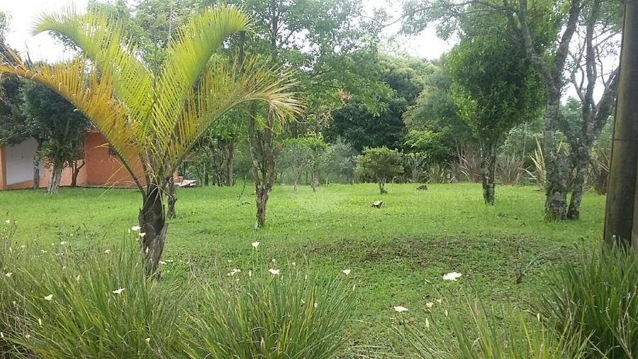 Foto REO292331