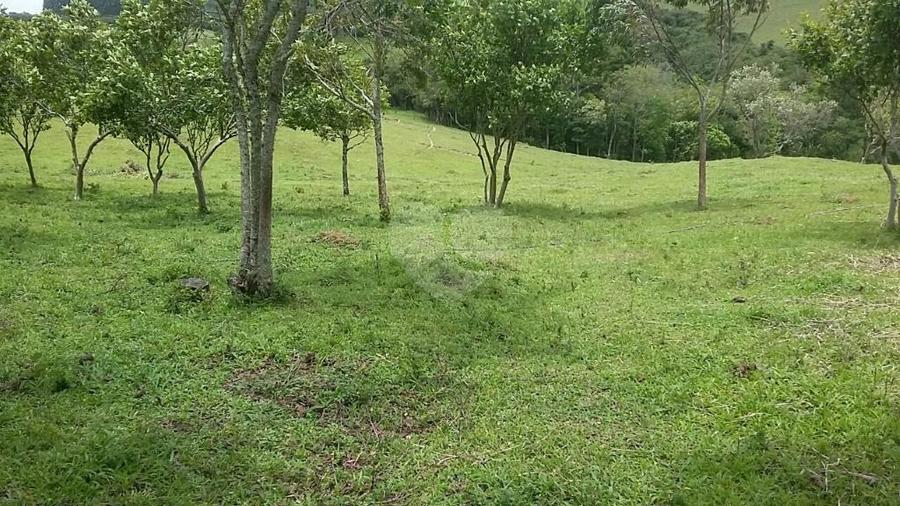 Foto REO292331