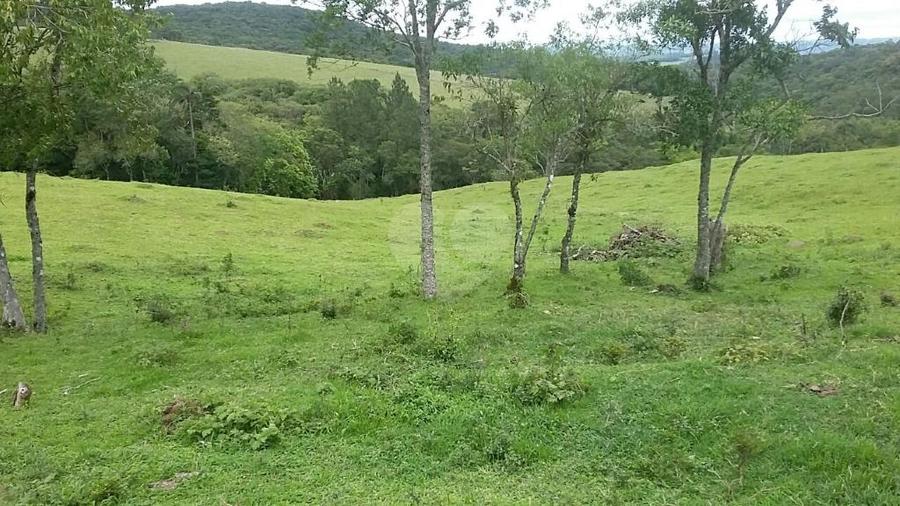 Foto REO292331