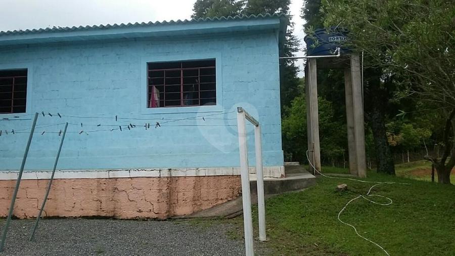 Foto REO292331