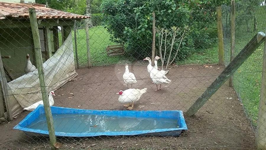 Foto REO292331