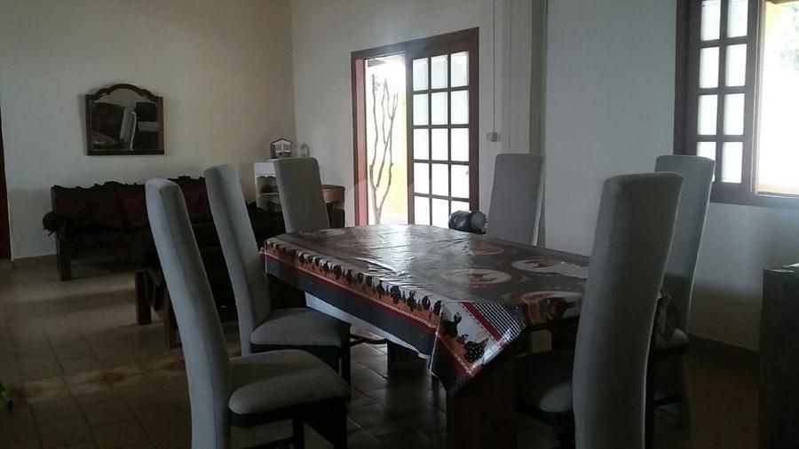 Foto REO292331