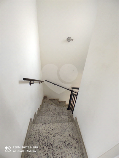 Foto REO292474