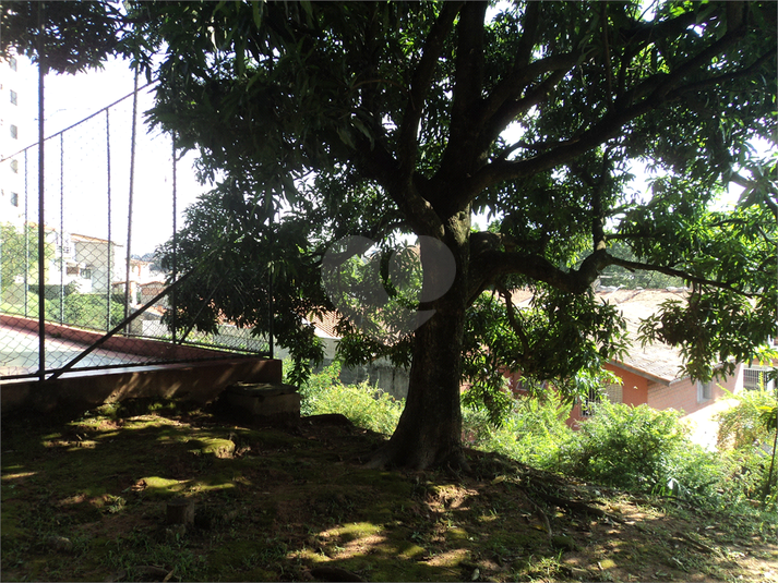 Foto REO292545