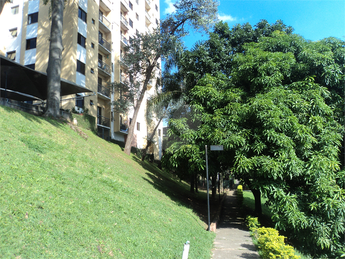 Foto REO292545