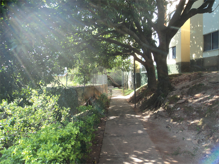 Foto REO292545