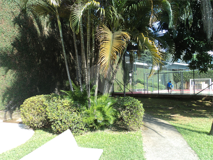 Foto REO292545