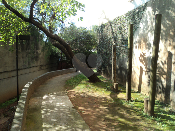 Foto REO292545
