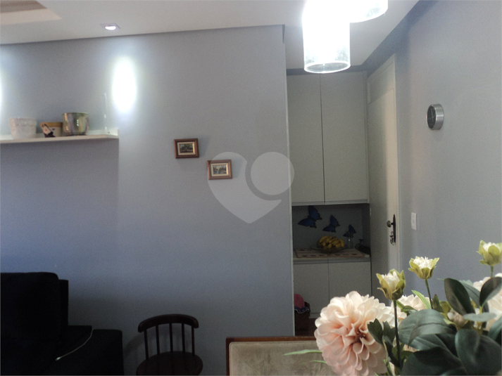 Foto REO292545