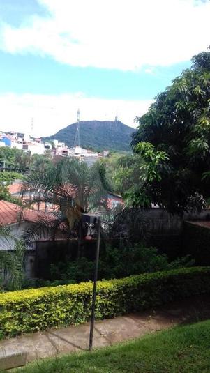 Foto REO292545