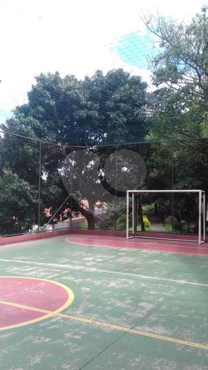 Foto REO292545