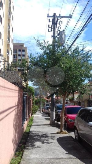 Foto REO292545