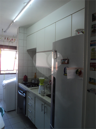 Foto REO292545
