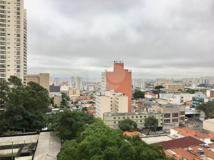 Foto REO292728