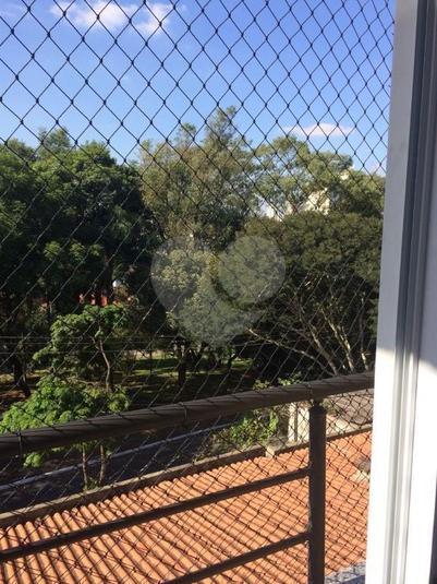 Foto REO293759
