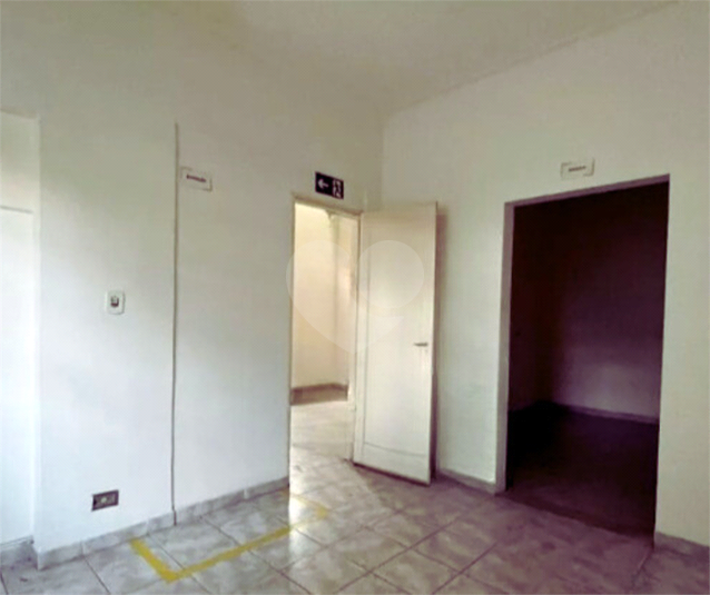 Foto REO294037